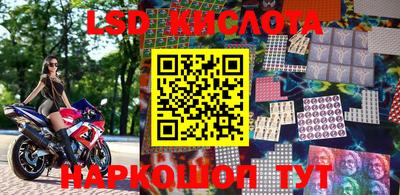 spice Новодвинск