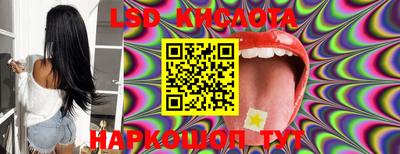 spice Новодвинск