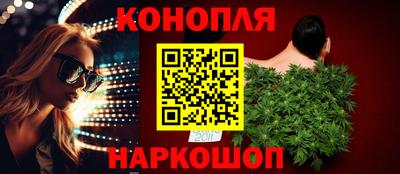 spice Новодвинск