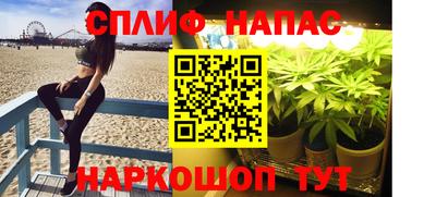 spice Новодвинск