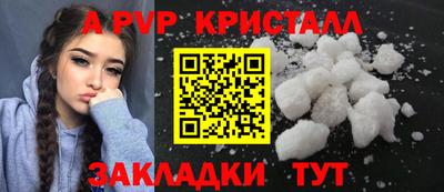 spice Новодвинск
