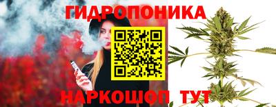 spice Новодвинск
