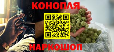 spice Новодвинск