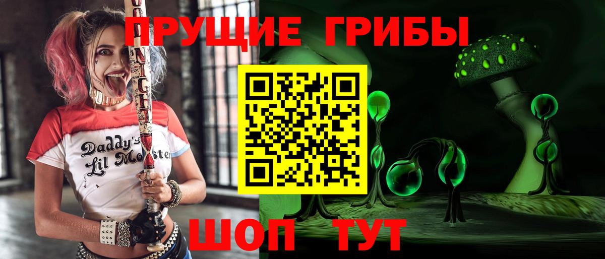Галлюциногенные грибы Cubensis  Вход с VPN  Чистополь 